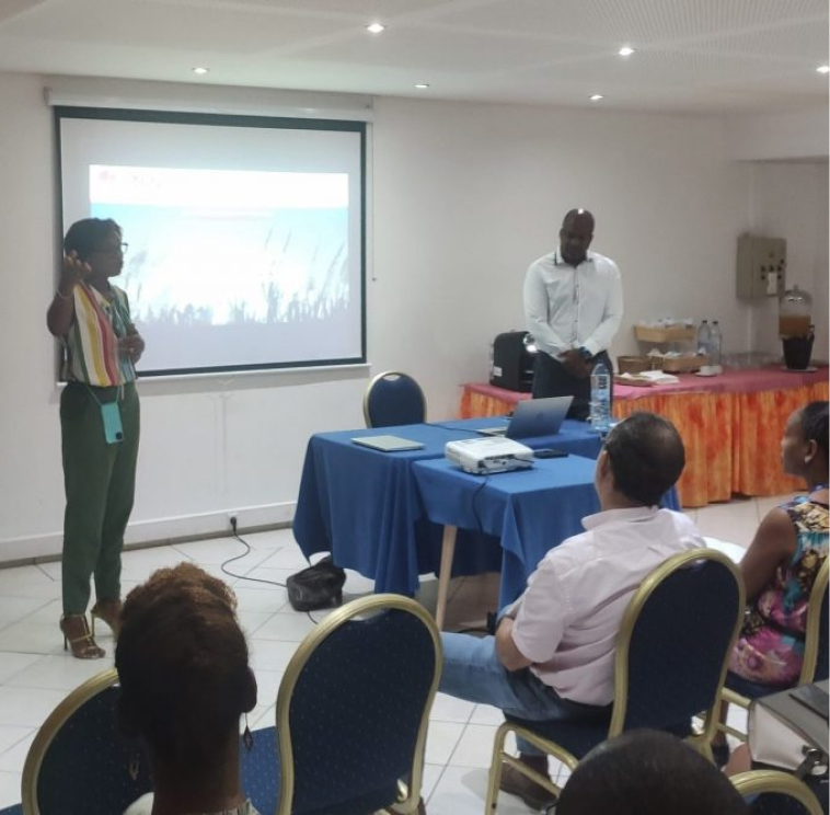 Event 23 mars 2023 Maya Consulting Caraïbes – GUADELOUPE