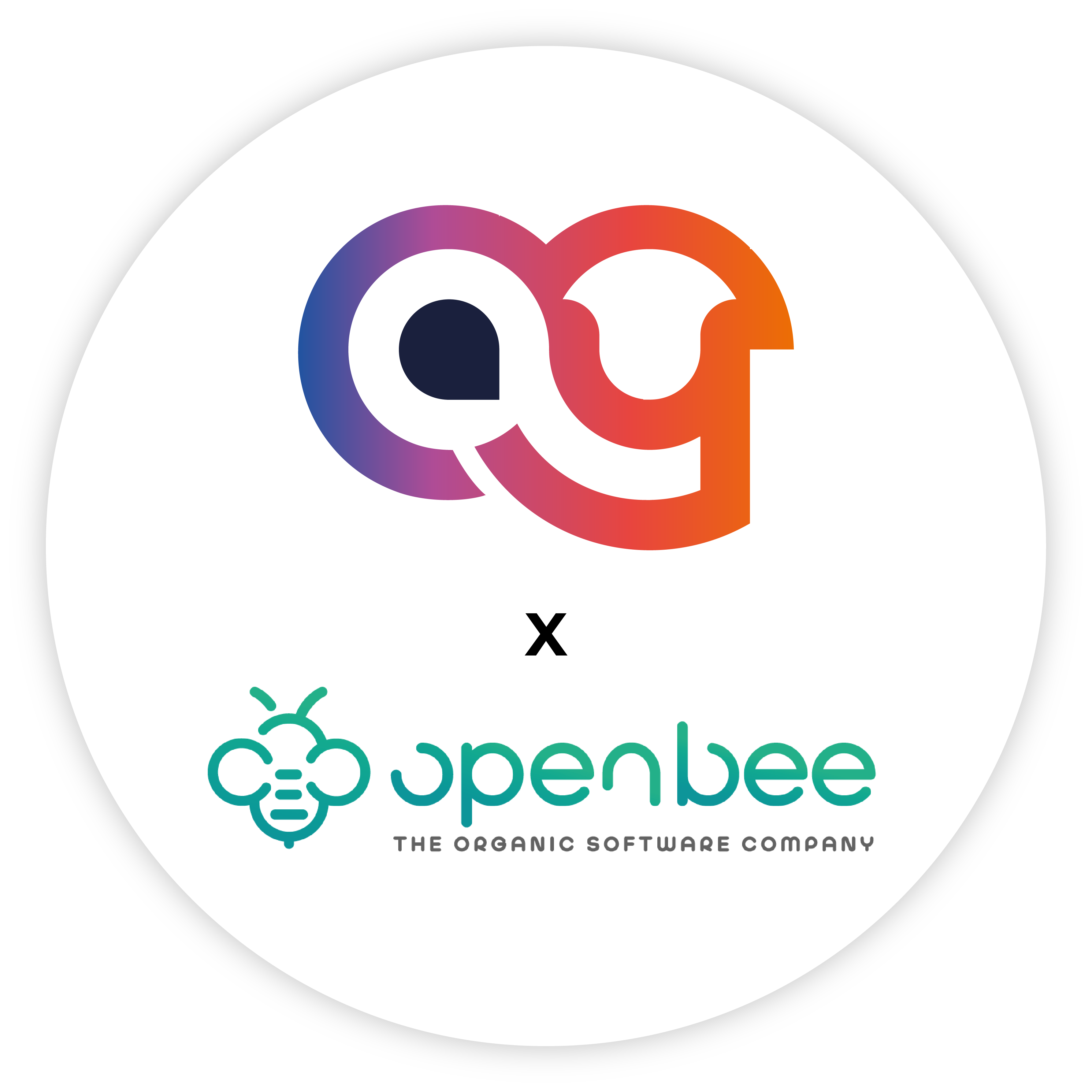 Maya Consulting x Open Bee