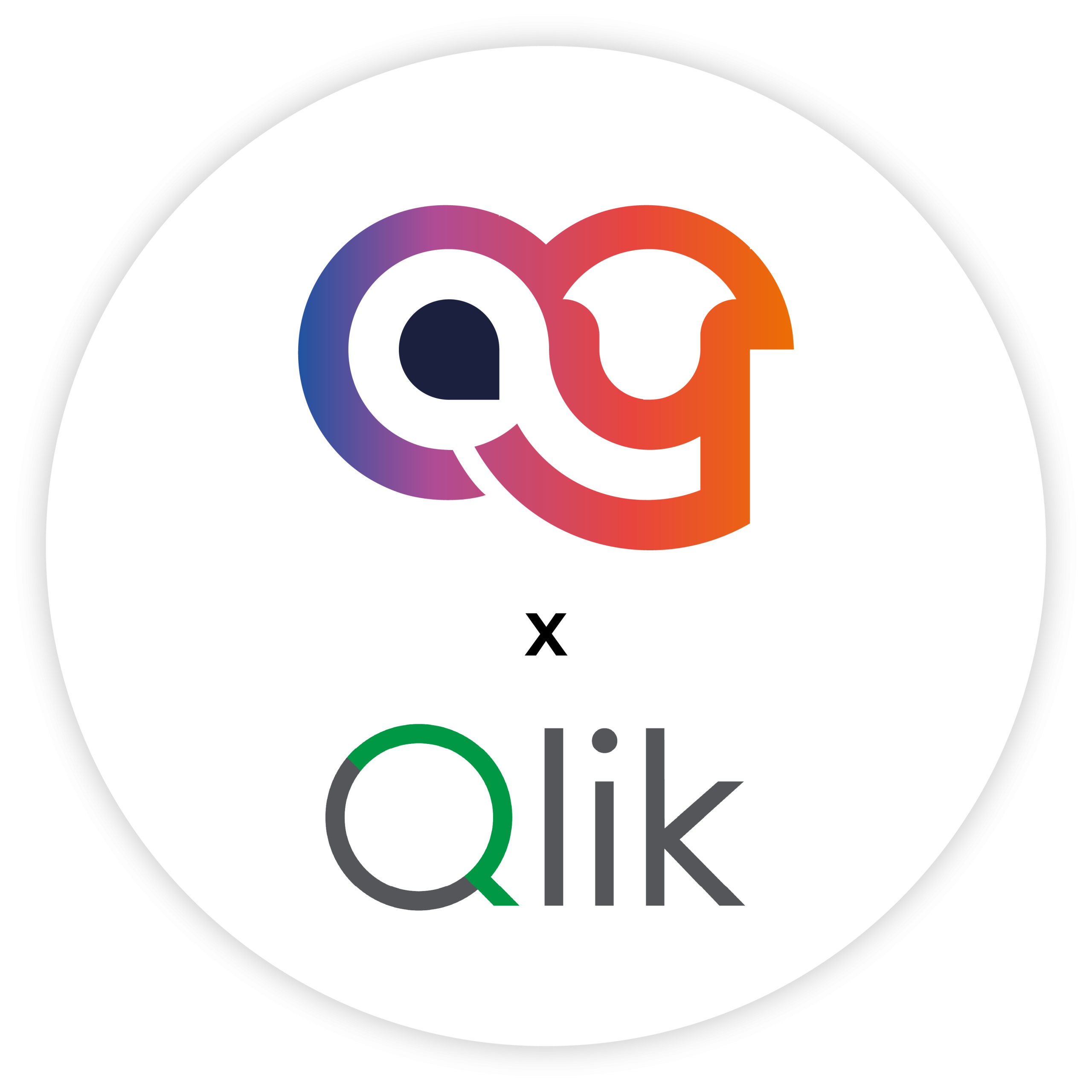 Maya Consulting x Qlik
